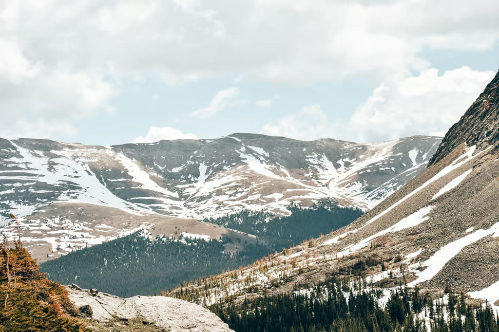 Head of Marketing, Agency, or Fractional CMO: Which Do You Actually Need?